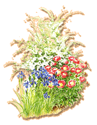 Herzlich Willkommen bei Raumausstattungsservice Dietmar Storde!